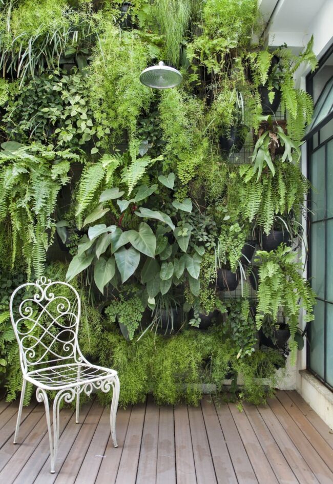 Outdoor Shower Vertical Garden Wall
