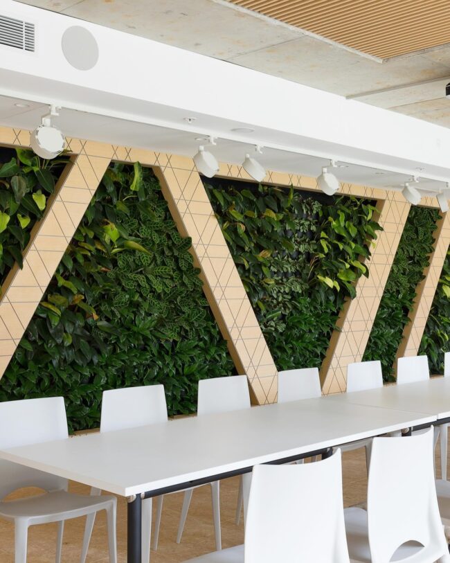Modern Indoor Vertical Garden Space