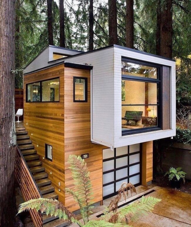 Modern Retreat Surrounded by Forest