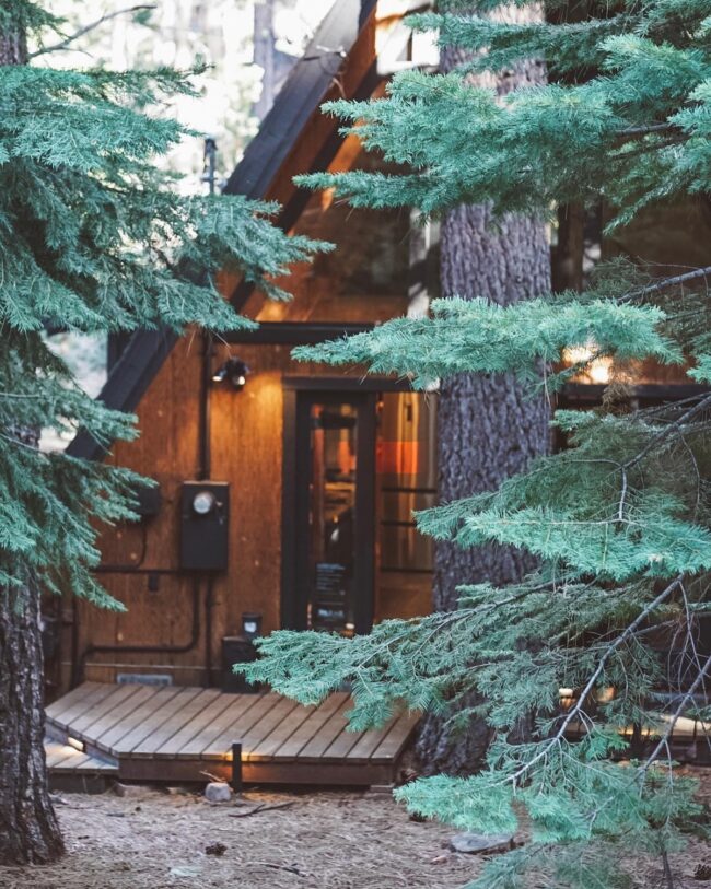 Hidden Forest Sanctuary