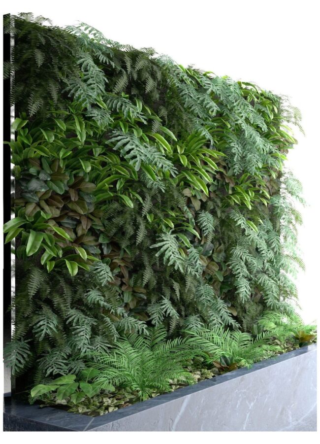 Fern-Filled Vertical Garden Design