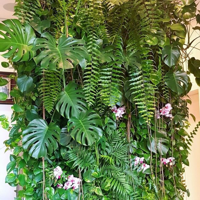 Vertical Garden with a Tropical Feel