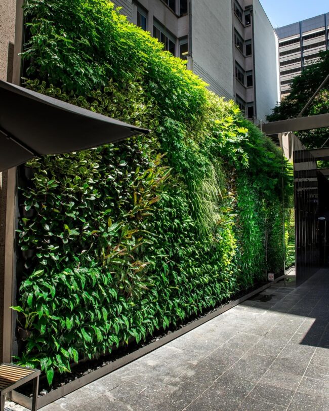 Sleek Urban Vertical Garden Design