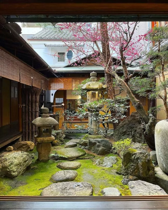 Soothing Indoor Zen Retreats