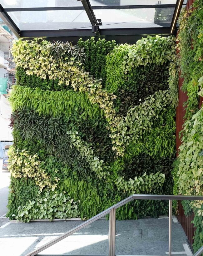Contemporary Vertical Garden Wall