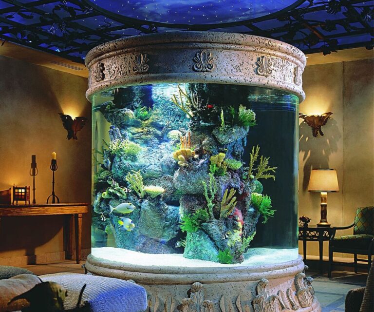 Curated visual reference: 23 Living Room Fish Tank Concepts For A Modern Aquatic Photo Inspiration