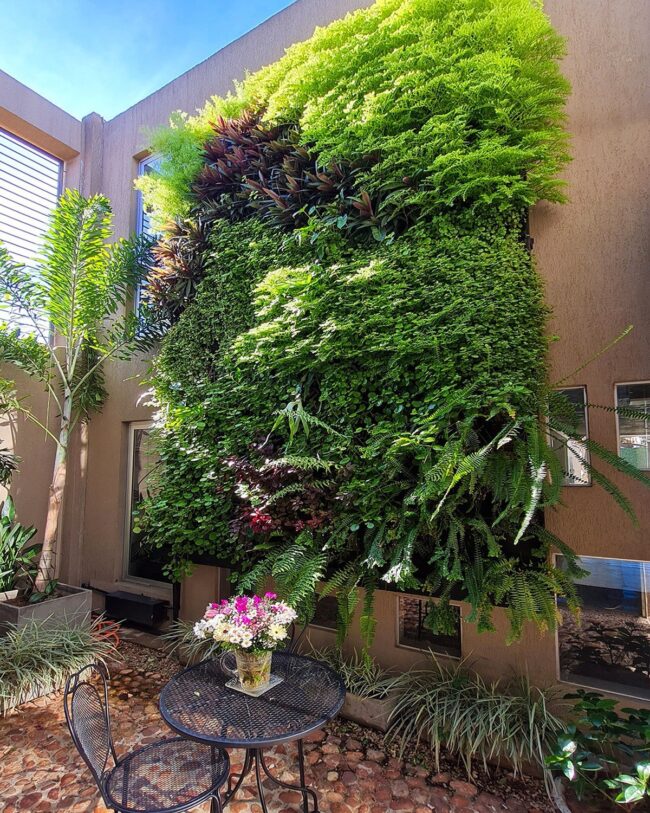 Vibrant Courtyard Vertical Garden