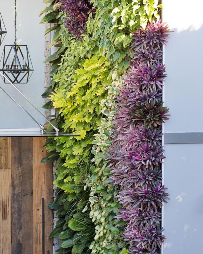 Bright and Colorful Vertical Garden