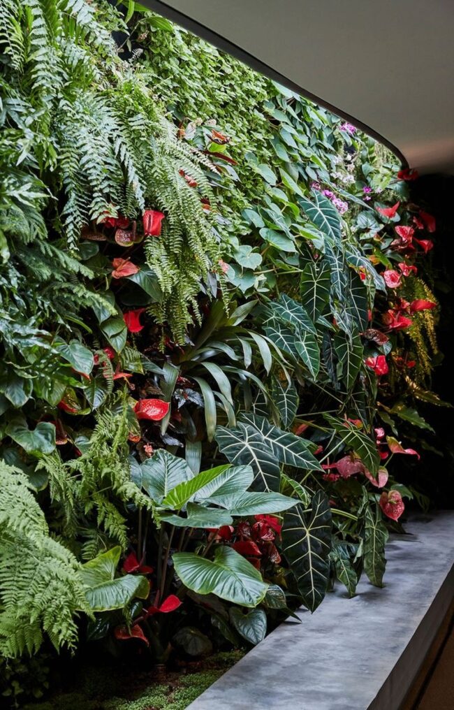 Exotic Indoor Vertical Garden Feature