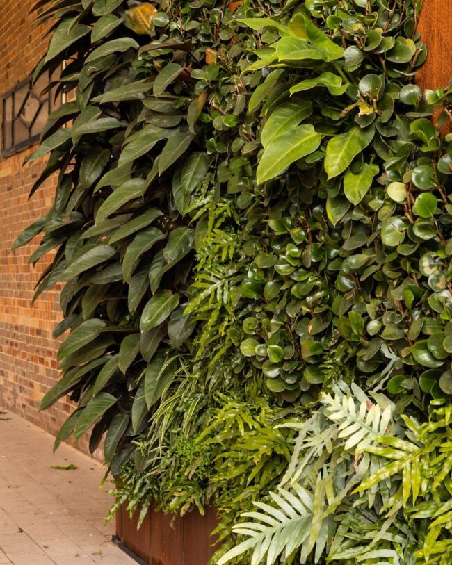Rustic Charm Vertical Garden