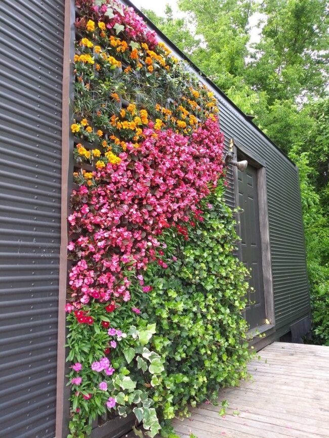 Lush and Vibrant Floral Vertical Garden