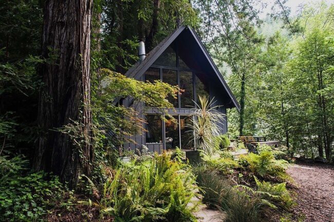 Secluded Retreat in the Heart of the Forest