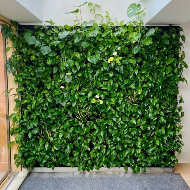 Simple and Elegant Vertical Garden Indoors